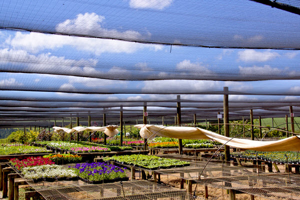 Nursery with Shade Cloth Covering