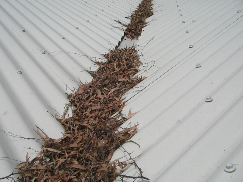 a build up leaves will cause issues later if not cleaned out