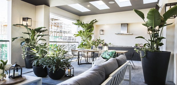 The Best Plants To Keep Under Your Patio Great Aussie Patios
