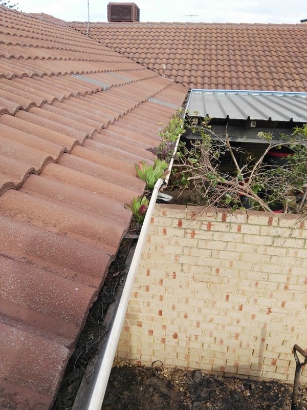 weeds and debris build up in old existing house guttering
