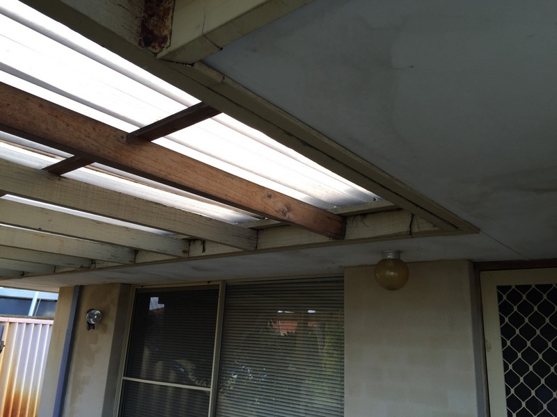 water damage to house behind timber pergola