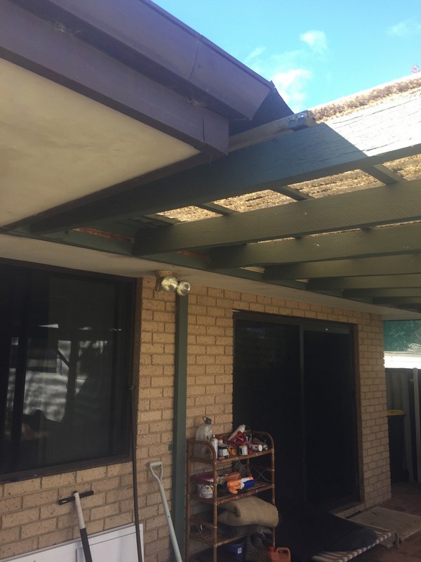 rust on gutter just visible behind the timber pergola