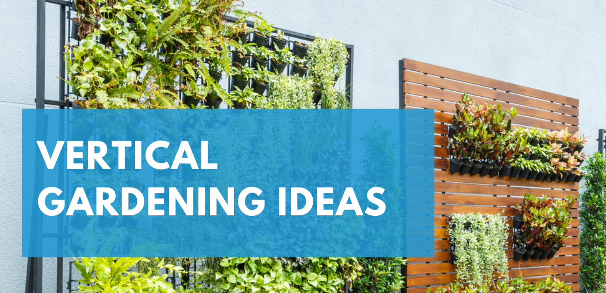 Transform Your Patio with A Vertical Garden Wall
