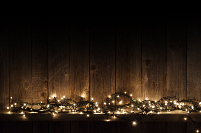 Fairy Lights in Backyard