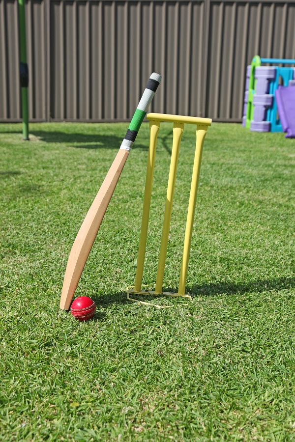 backyard cricket