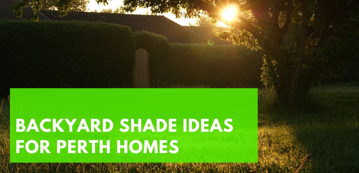 Backyard Shade Ideas