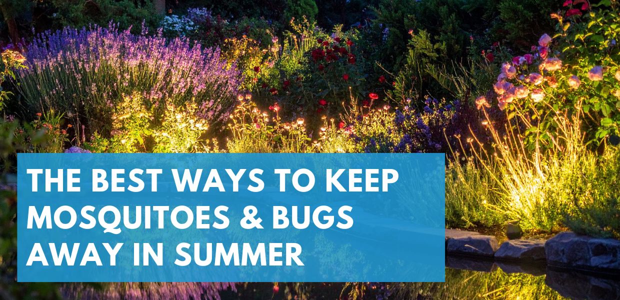 The Best Ways to Keep Mosquitoes and Bugs Away in Summer
