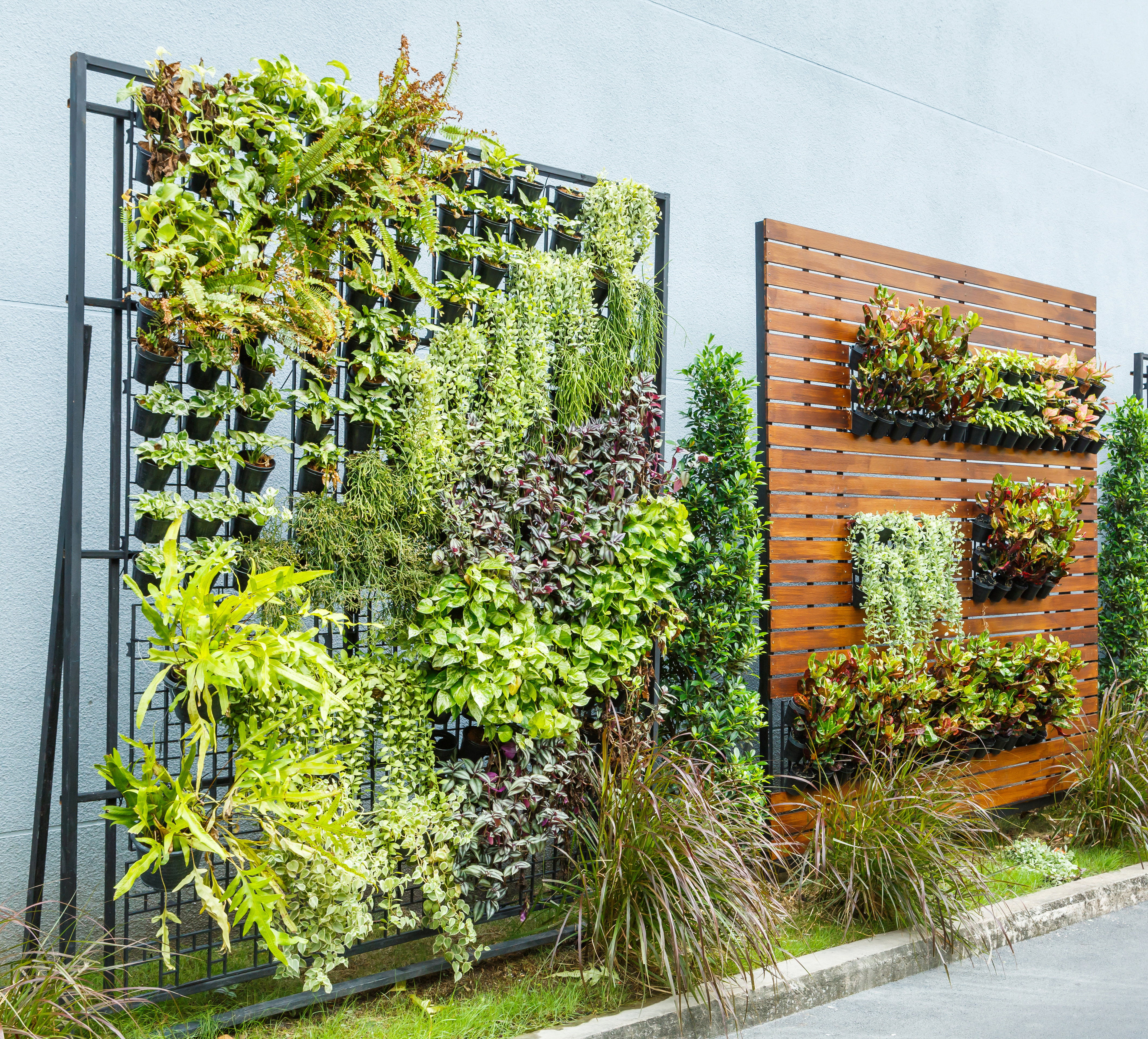 vertical garden wall covered in plants