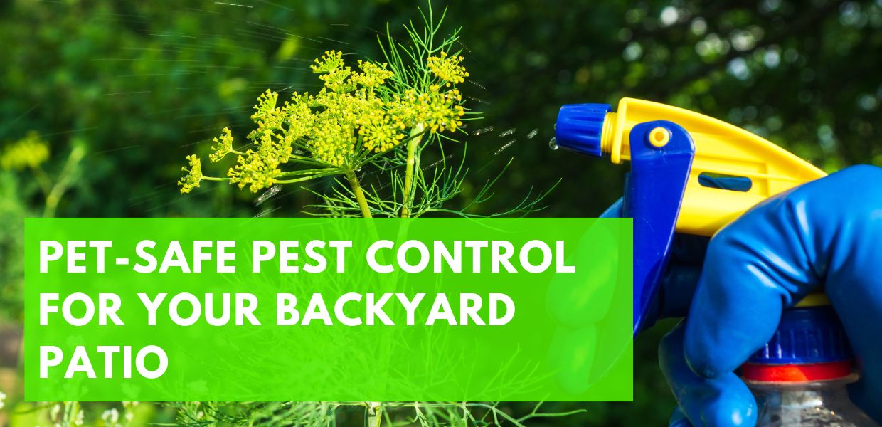 pet-safe pest control being applied in a backyard